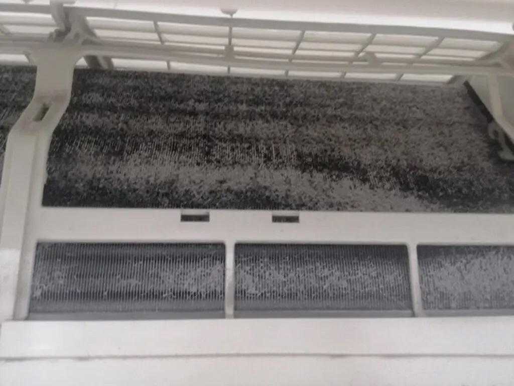 Dàm lạnh bụi bẩn