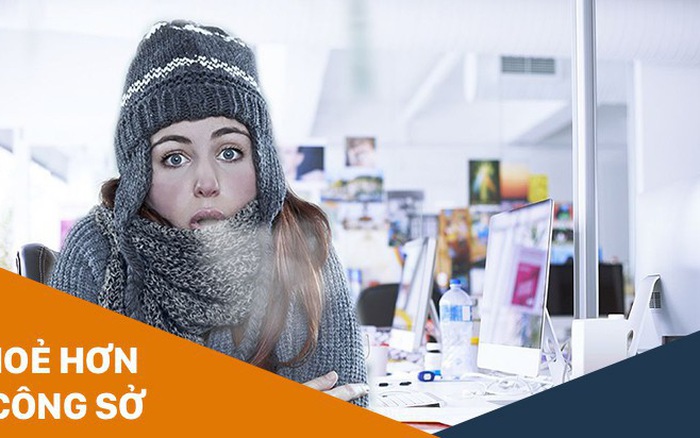 Mẹo Sử Dụng Máy Lạnh Cho Dân Văn Phòng| Điện Lạnh Phố Xanh