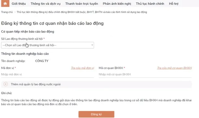 Hướng dẫn chi tiết báo cáo tình hình sử dụng lao động năm 2024