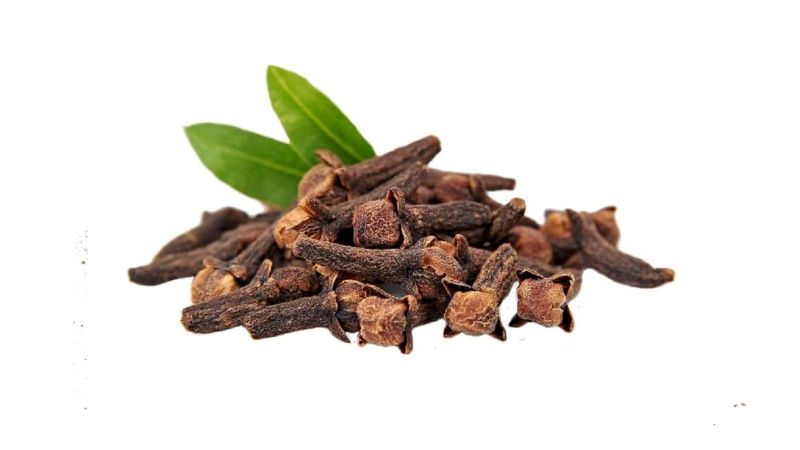 Nụ đinh hương hãm nước sôi để làm nước súc miệng giúp giảm hôi miệng