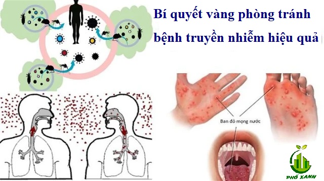 Bí quyết vàng phòng tránh bệnh truyền nhiễm hiệu quả