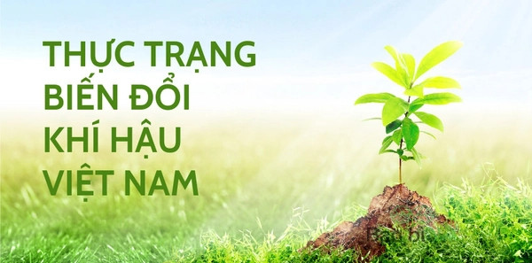 Nguyên nhân và ảnh hưởng của biến đổi khí hậu Việt Nam
