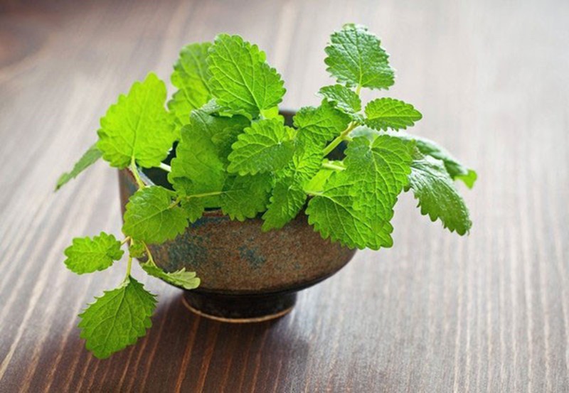 Cách chữa hôi miệng dứt điểm ngay tại nhà