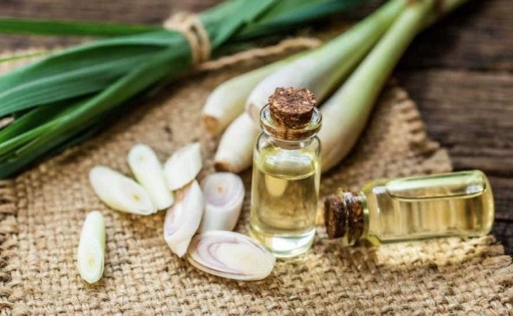 Nhiều loại tinh dầu có công dụng xua đuổi muỗi tuyệt vời trong phòng lạnh
