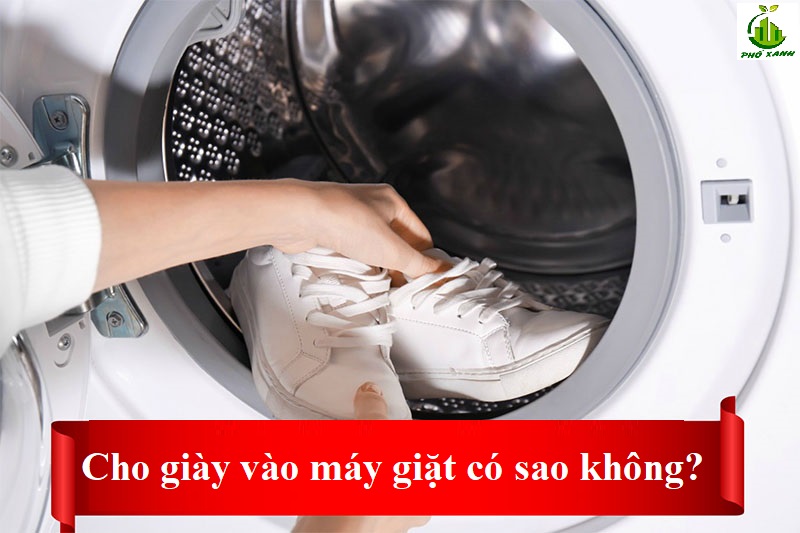 cho giày vào máy giặt có sao không Điện lạnh Phố Xanh
