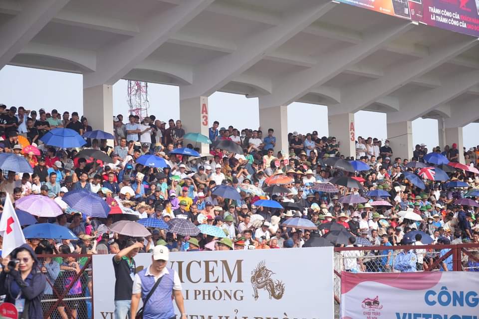 Hải Phòng - Hàng vạn người tham dự Lễ hội chọi trâu Đồ Sơn 2024