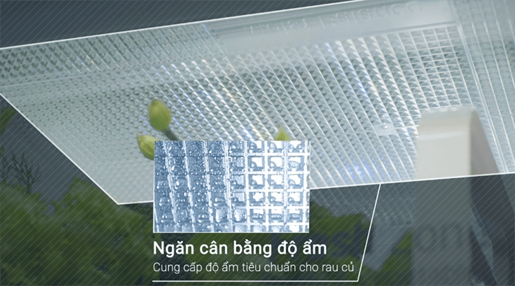 Ngăn cân bằng độ ẩm