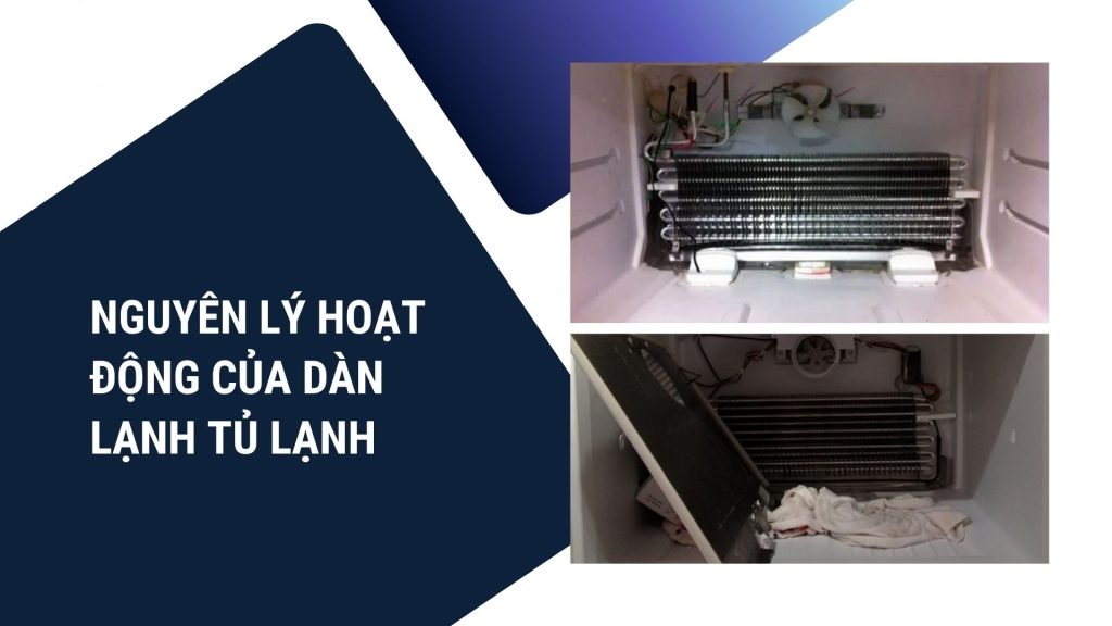 Nguyên lý hoạt động của dàn lạnh tủ lạnh