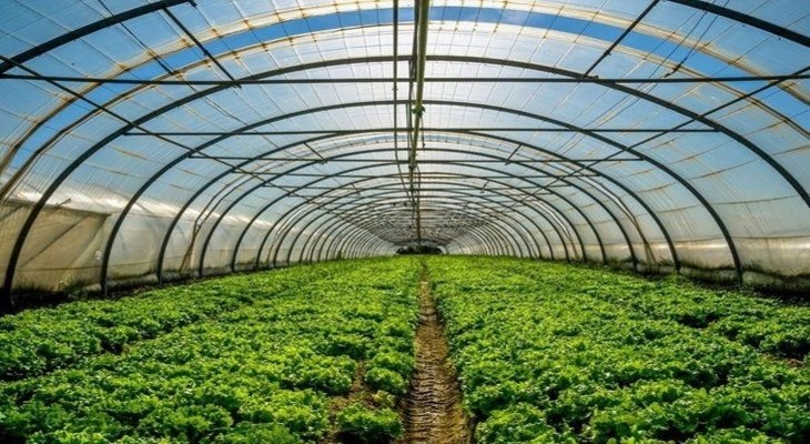 Độ ẩm 40% - 80% thường phù hợp cho môi trường nông nghiệp