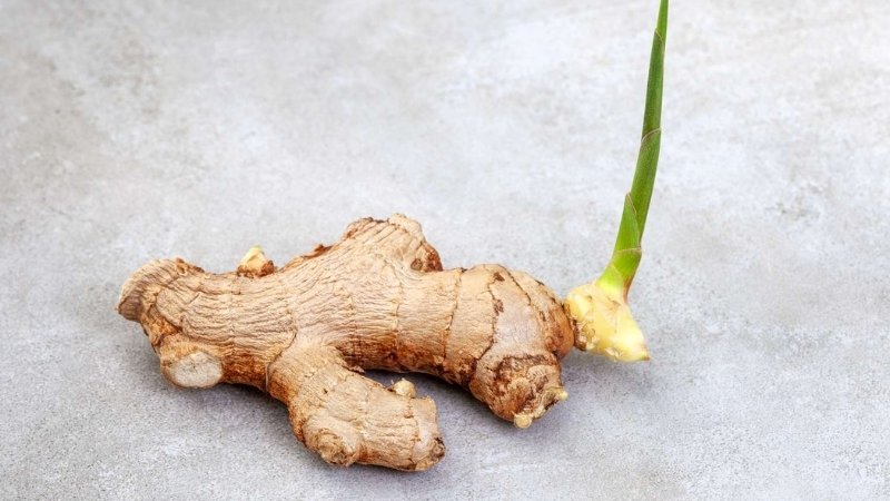 Gừng có khả năng chống viêm và giảm đau