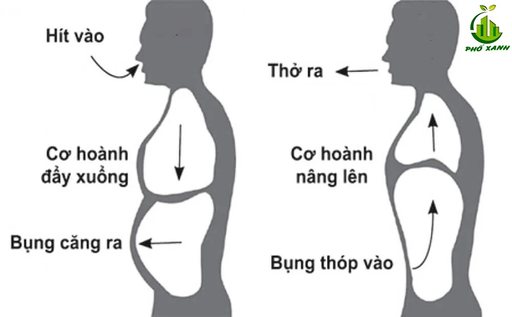 6 tư thế nằm giảm cân của người Nhật hiệu quả