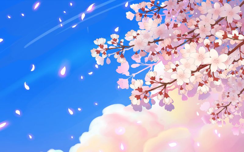 Mai vàng, đào hồng và bánh chưng mang đậm không khí xuân, tạo cảm giác nhẹ nhàng, thư thái