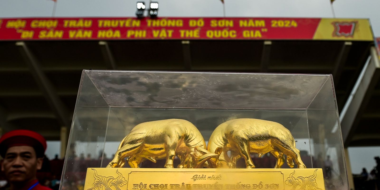 Lễ hội chọi trâu truyền thống Đồ Sơn năm 2024