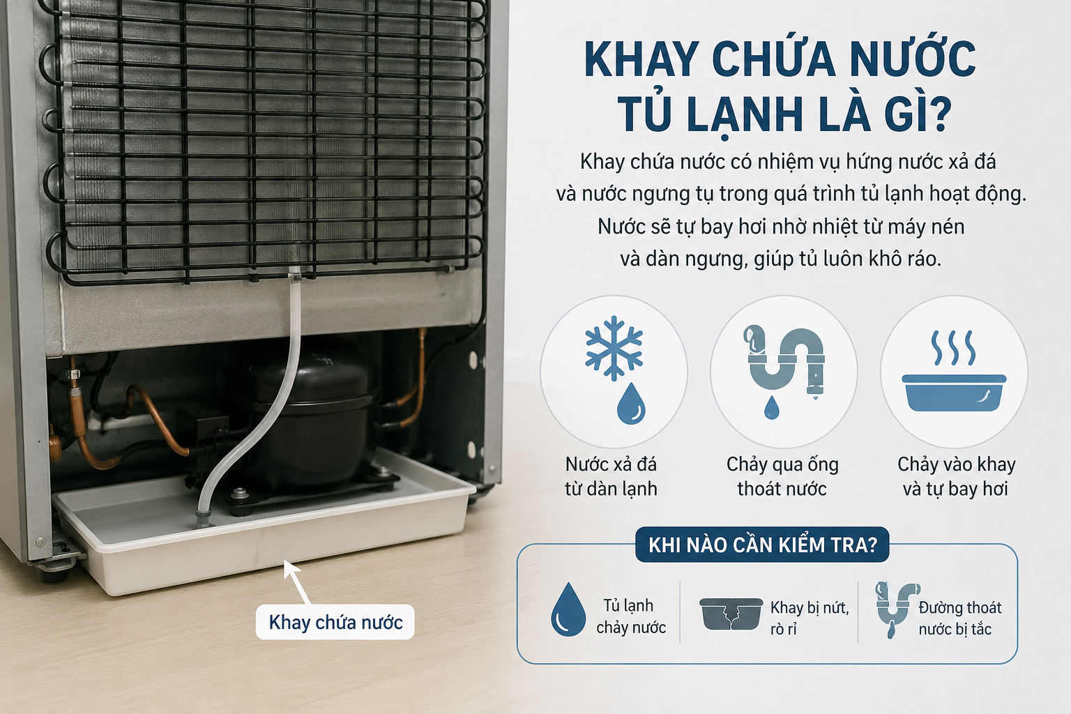 Khay chứa nước tủ lạnh có tác dụng gì?
