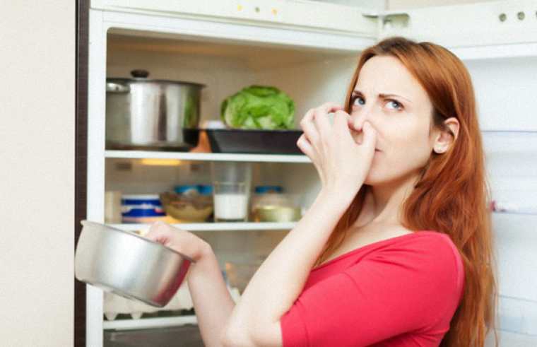 Khi nào cần thay gas tủ lạnh? 