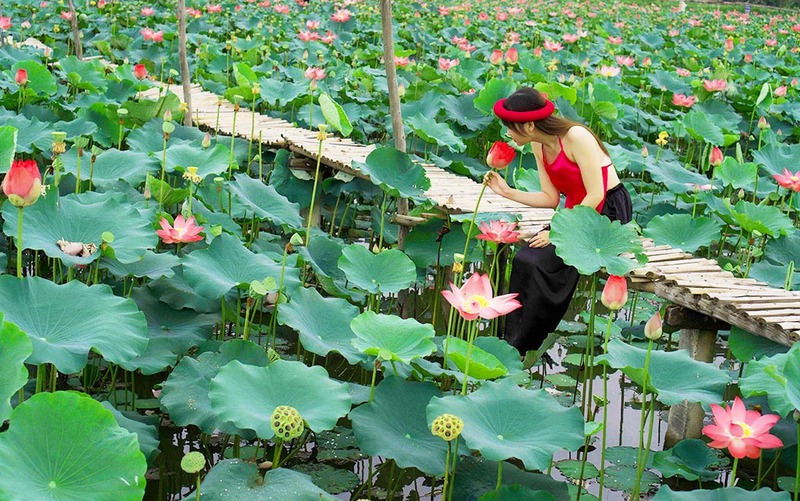 Top 13 khu du lịch sinh thái ở TP.HCM xanh mát