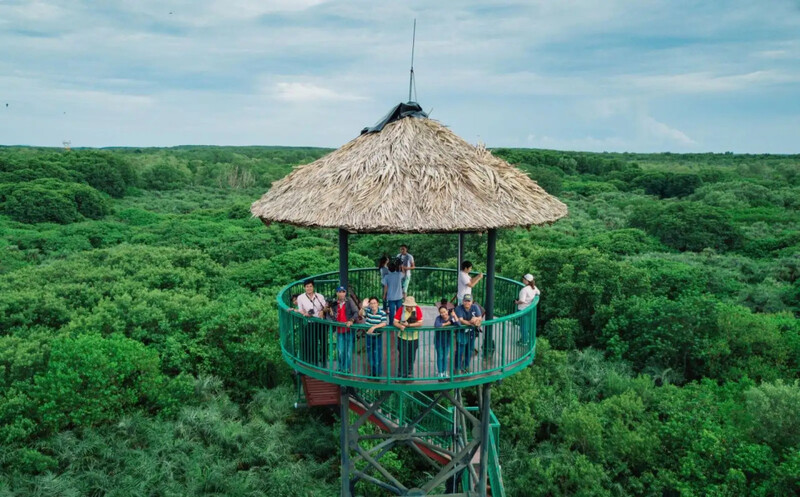 Top 13 khu du lịch sinh thái ở TP.HCM xanh mát