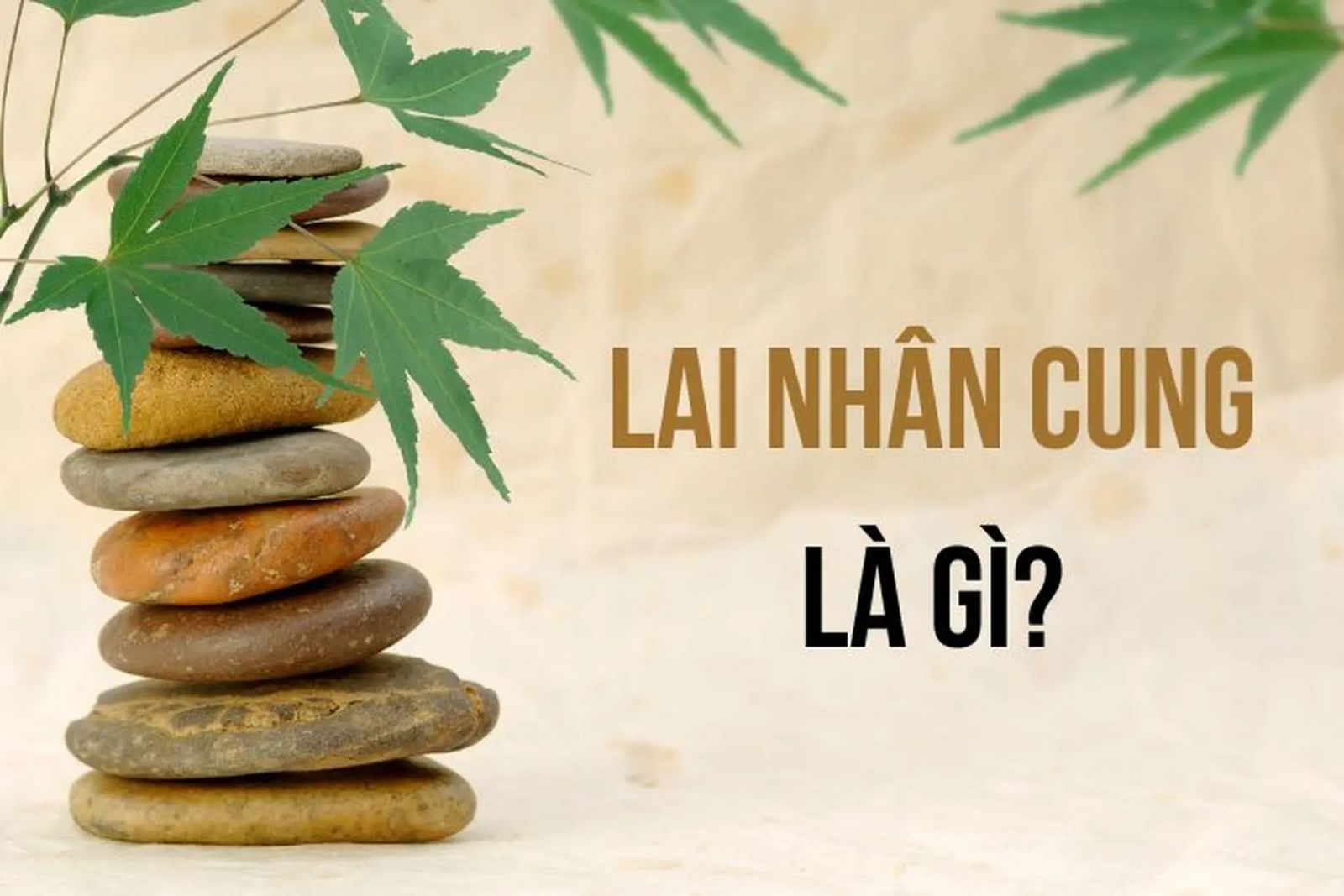 Lai Nhân Cung là gì? Tìm hiểu ý nghĩa quan trọng của Lai Nhân Cung trong lá số Tử Vi