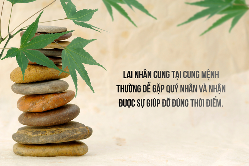 lai nhân cung là gì (ảnh 3)