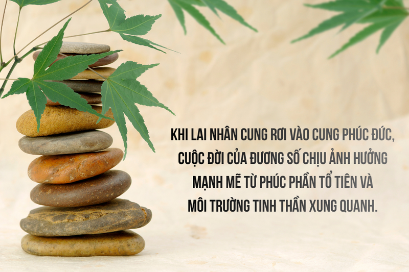 lai nhân cung là gì (ảnh 4)