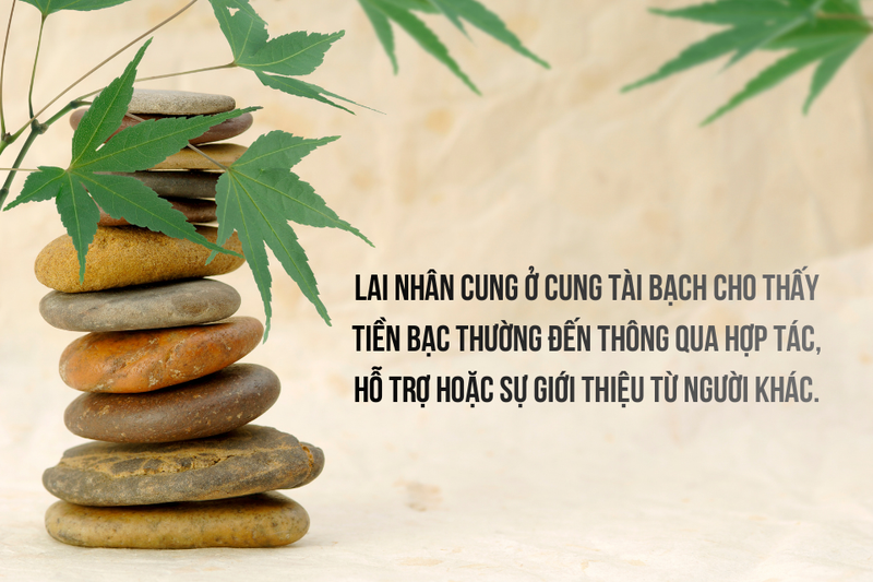 lai nhân cung là gì (ảnh 7)