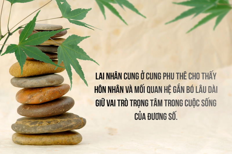 lai nhân cung là gì (ảnh 8)