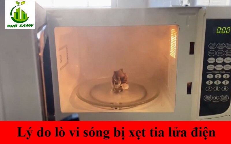 lò vi sóng bị xẹt tia lửa điện