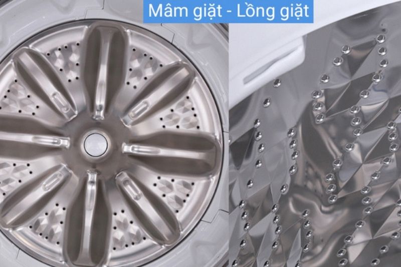 mâm 8 cánh