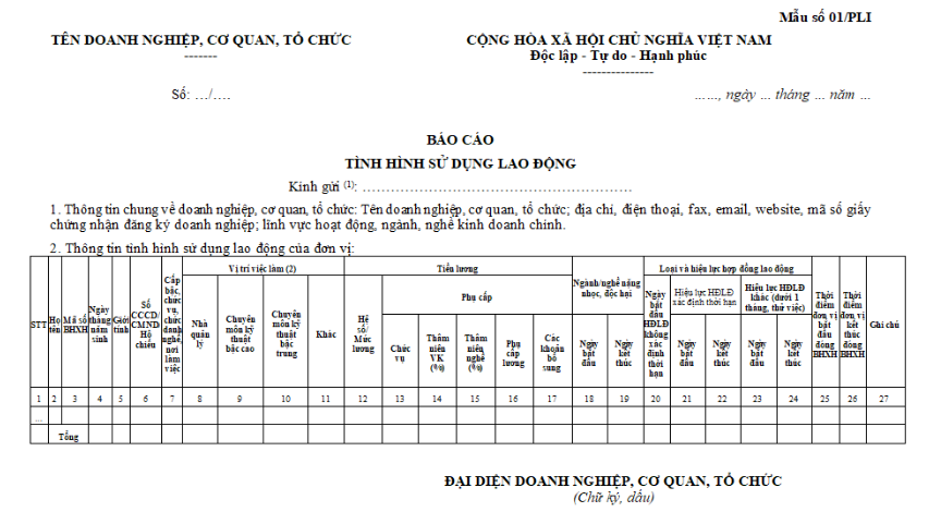 Hướng dẫn chi tiết báo cáo tình hình sử dụng lao động năm 2024