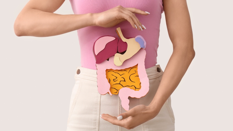 Uống nụ vối giúp hỗ trợ tiêu hoá và giảm đầy bụng