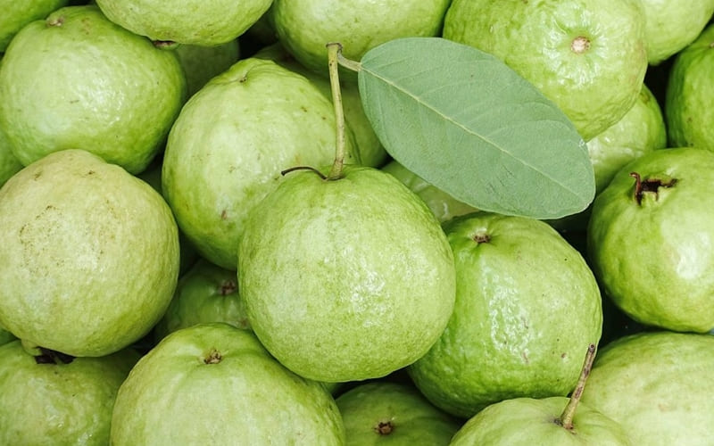 Ổi nổi bật nhờ hàm lượng vitamin C cao vượt trội.