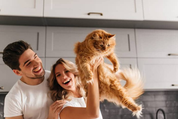 Tặng cho người yêu một bé mèo vào dịp 8/3 giúp cô ấy trở nên vui vẻ hơn