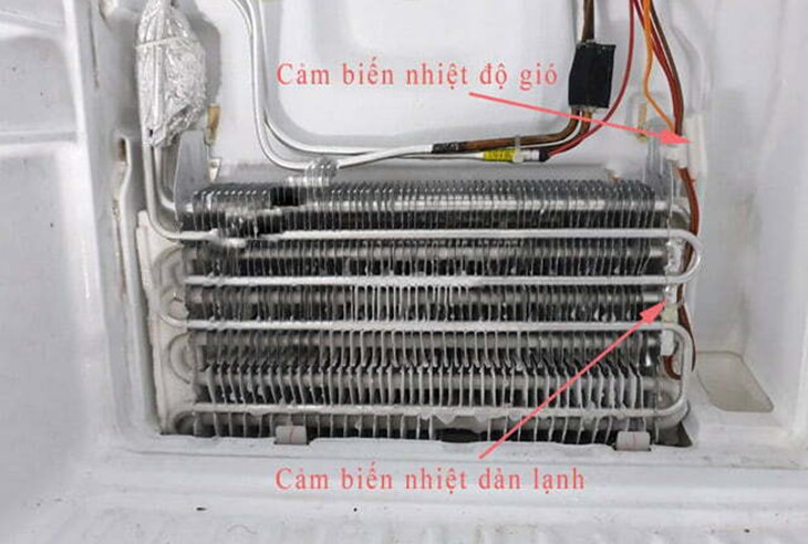 Sensor ngăn đông của tủ lạnh 