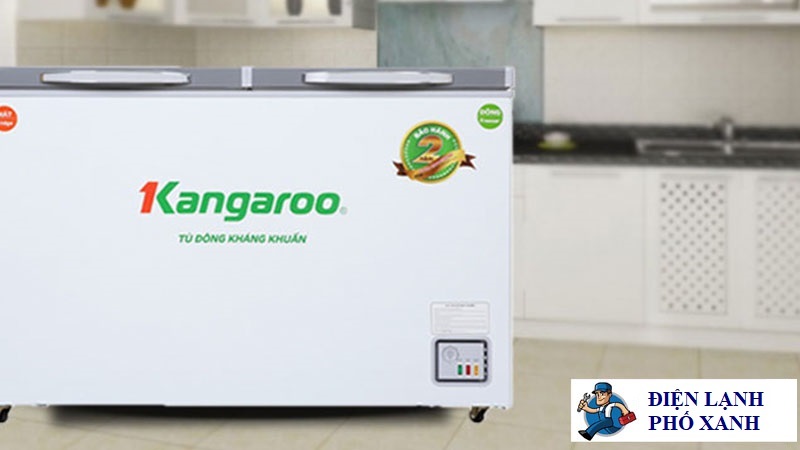 Sửa Tủ Đông Tận Nhà - Nhanh Chóng, Uy Tín, Giá Rẻ