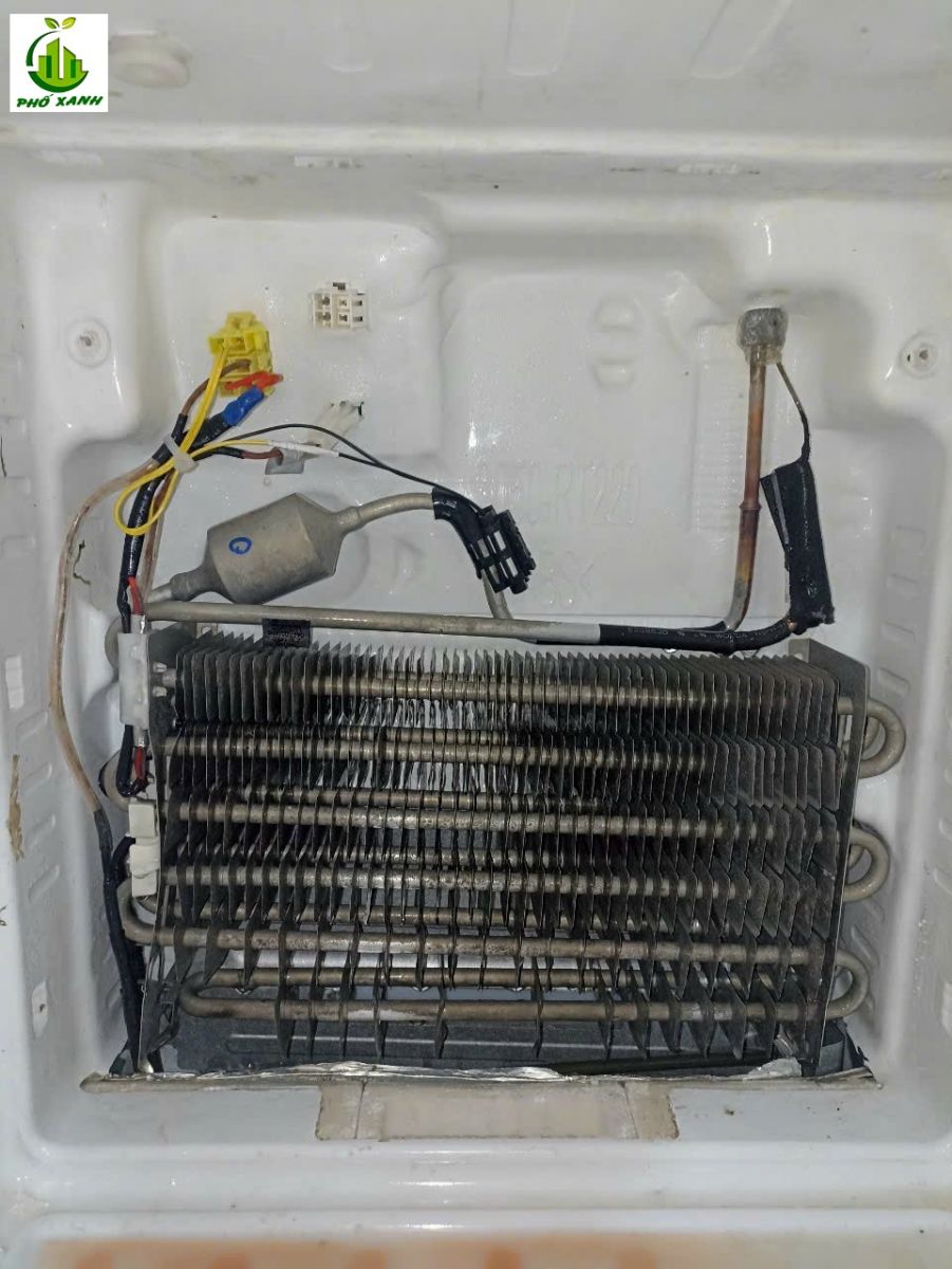 Sửa tủ lạnh tại Quận 5