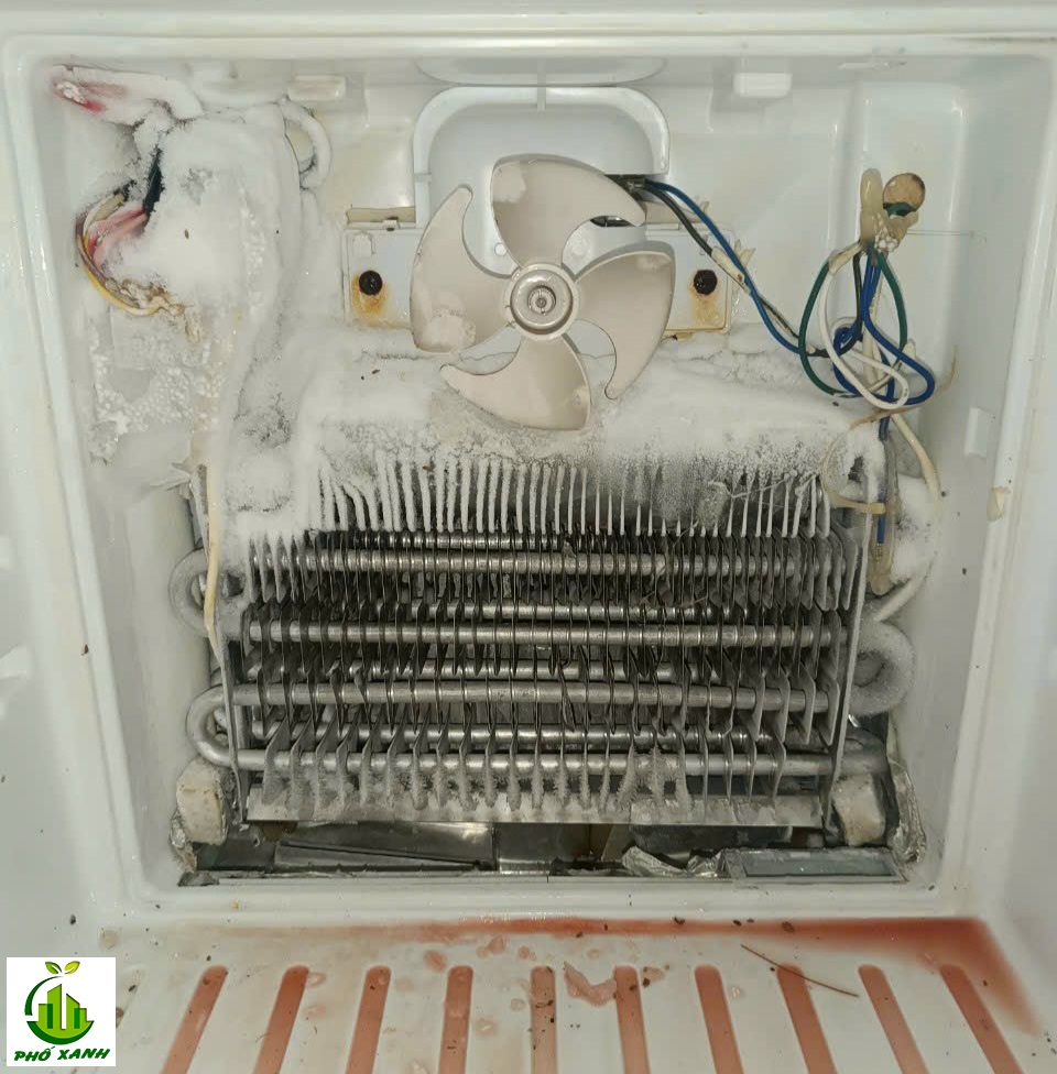 Kỹ thuật viên chuyên nghiệp - dịch vụ sửa tủ lạnh