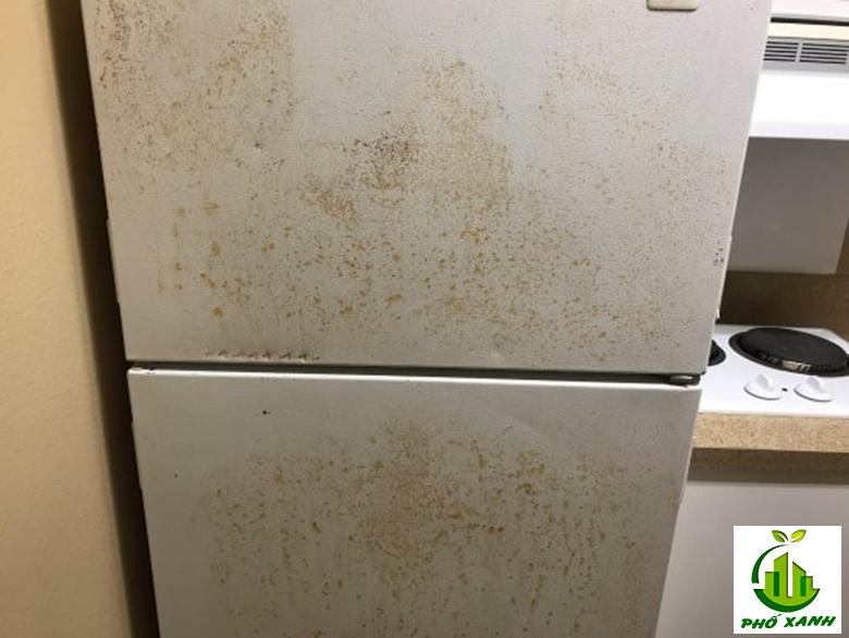 Tủ lạnh bị rỉ sét - Nguyên nhân và cách khắc phục