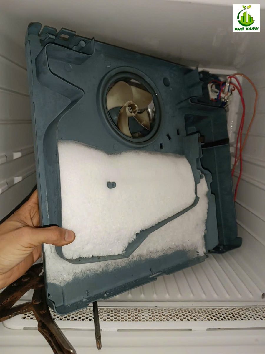 Sửa tủ lạnh Electrolux tại nhà