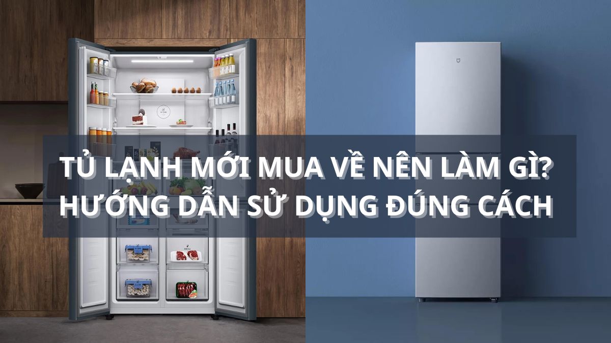 Cần làm gì khi mới mua tủ lạnh về? Hướng dẫn sử dụng đúng cách