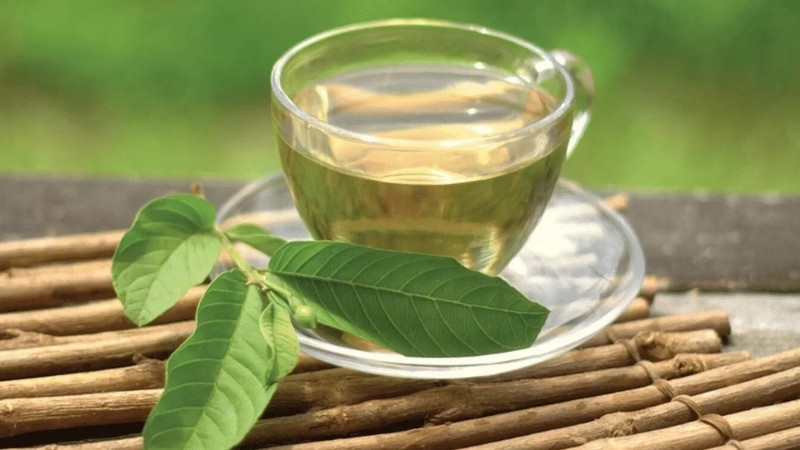 Lá ổi chứa nhiều thành phần dinh dưỡng quan trọng