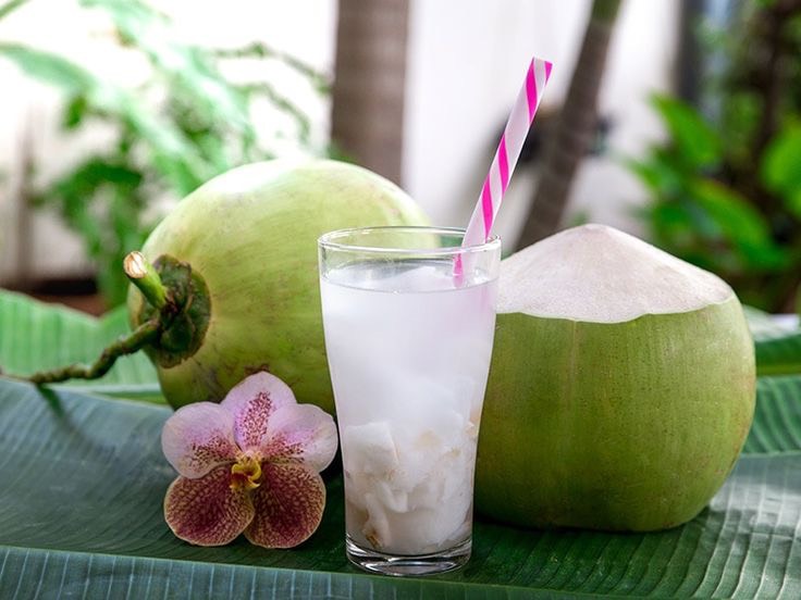 Khung giờ vàng uống nước dừa tốt cho sức khỏe
