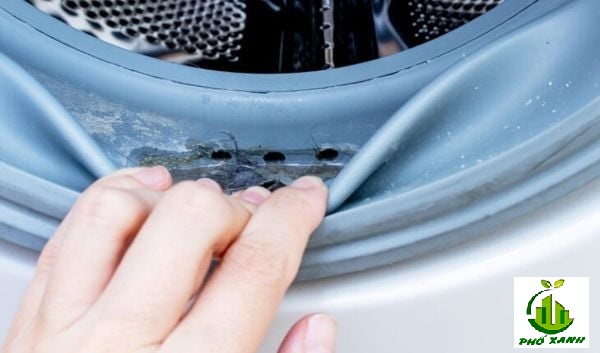 Vệ sinh gioăng cao su máy giặt Electrolux - Bí quyết giặt sạch, thơm tho, bền máy