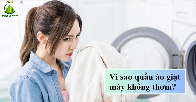 giặt máy giặt không thơm Điện lạnh Phố Xanh