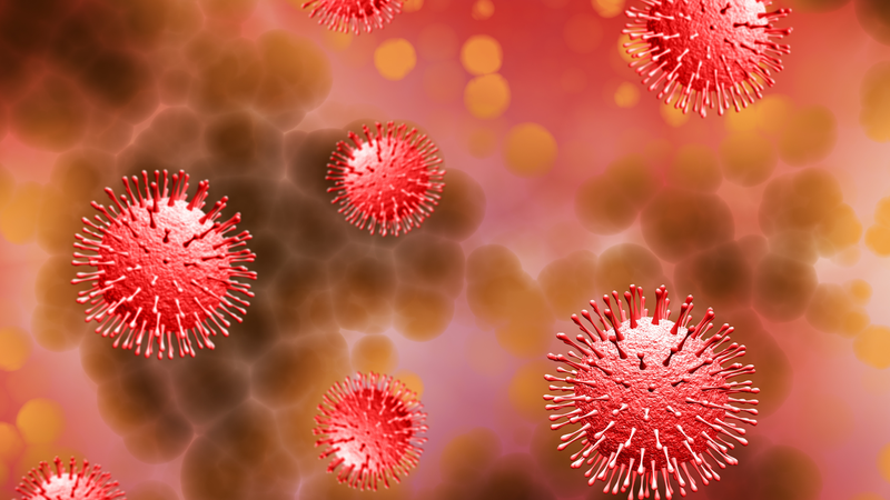 Virus HPV là gì? Dấu hiệu và cách phòng ngừa HPV