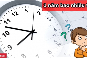 1 năm có bao nhiêu tuần? Giải đáp thắc mắc chính xác đến bạn