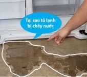 Tại sao tủ lạnh bị chảy nước? Nguyên nhân, cách khắc phục