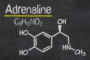 Adrenaline là gì? Tác dụng và cách kiểm soát stress