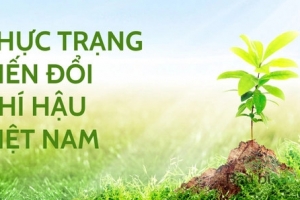 Nguyên nhân và ảnh hưởng của biến đổi khí hậu Việt Nam