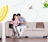 Cách đuổi muỗi trong phòng máy lạnh hiệu quả | Điện lạnh Phố Xanh