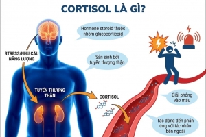 Cortisol là gì? Dấu hiệu và 5 cách cân bằng Cortisol